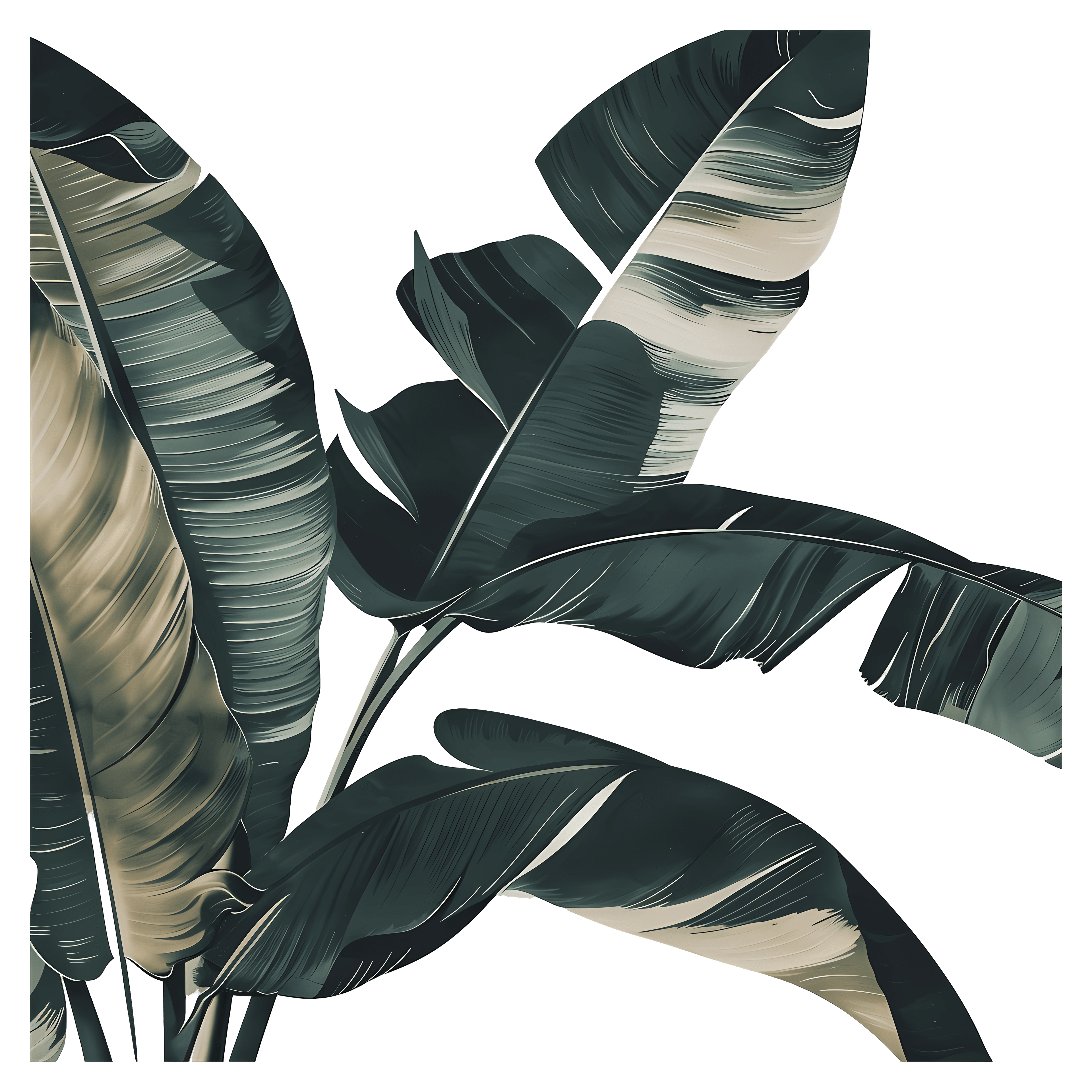 Autumn Leaf